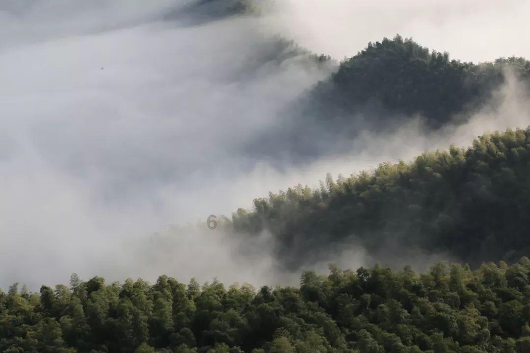 什么都不会的应届生怎么找工作？红迪网平台，打造专属你的社区交流平台
