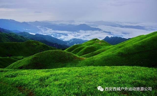 为了一本家长强制要求选择复读，但自己想放弃，该怎么办呢？